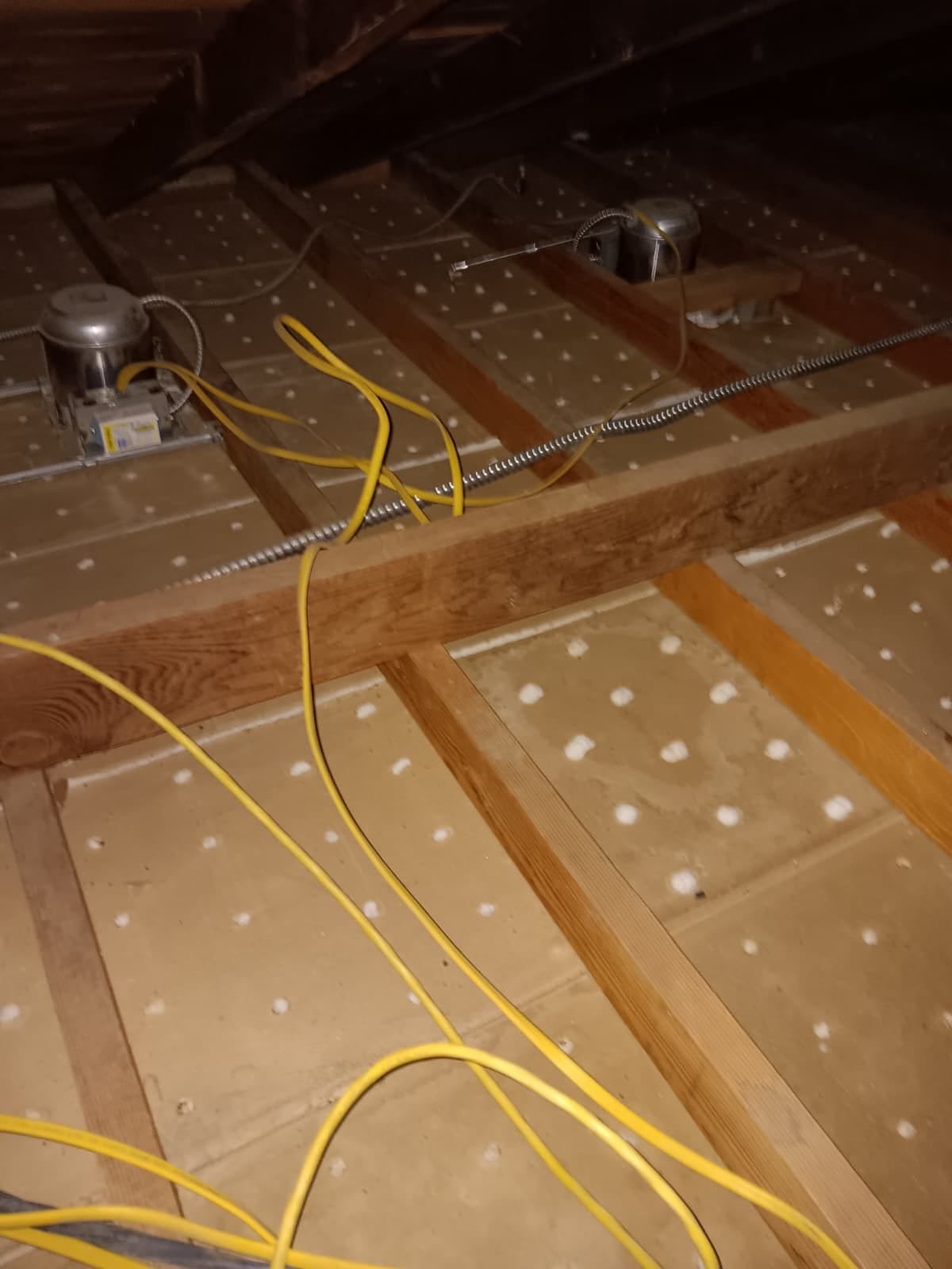 Attic photograph associated with rat proofing